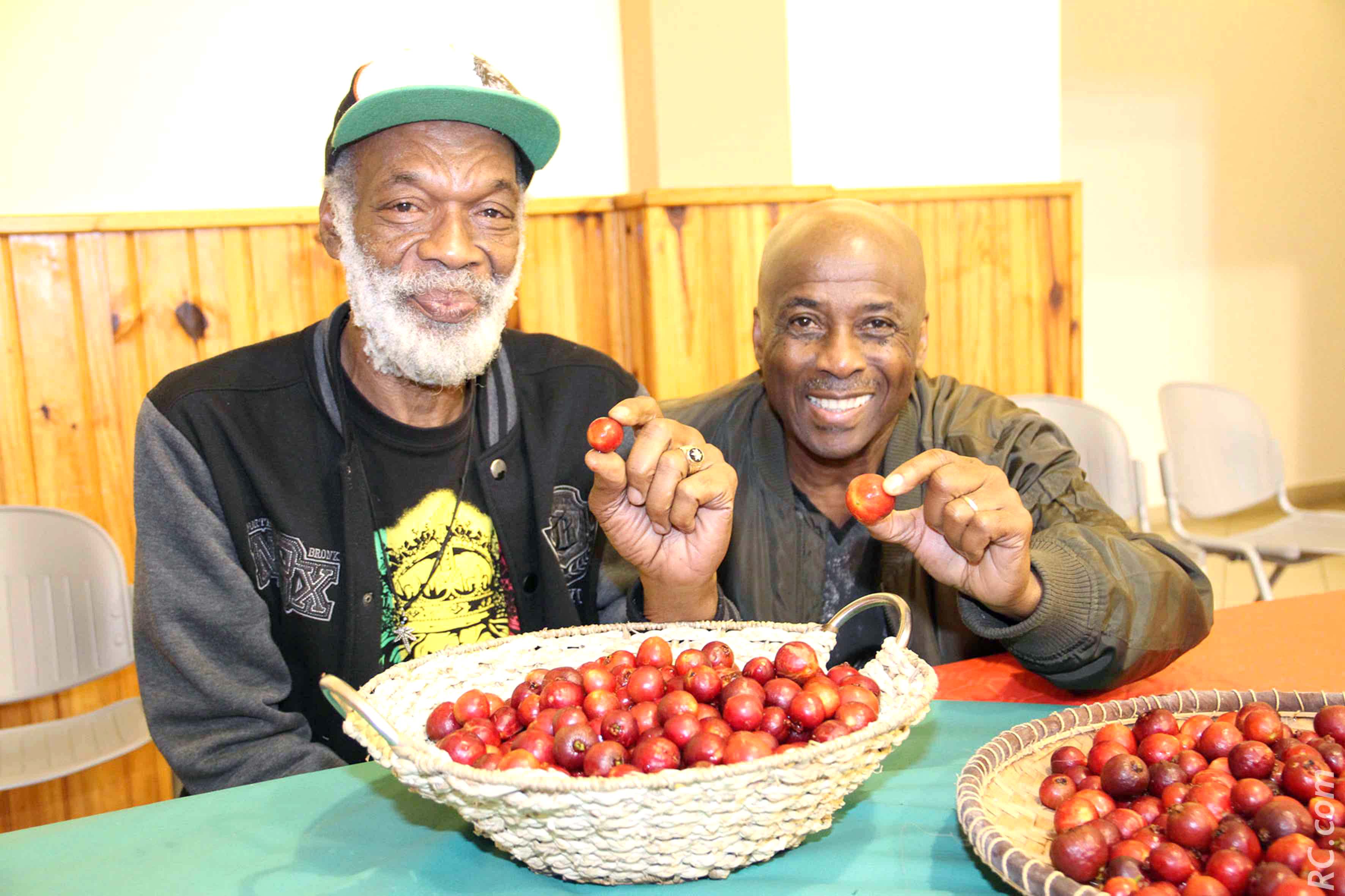 Anthony Gussie et Gordon Anderson ont trouvé leur bonheur devant ces délicieux goyaviers