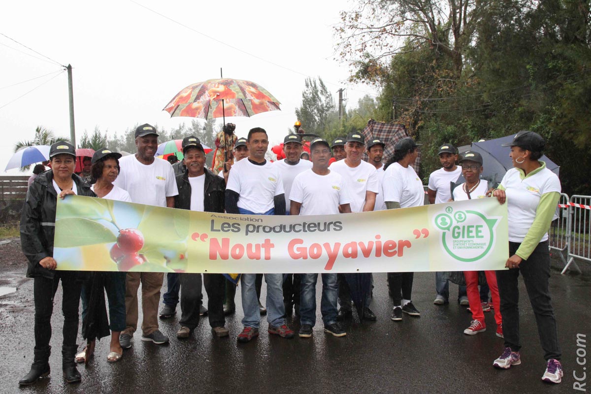 L'association Les Producteurs Nout Goyavier