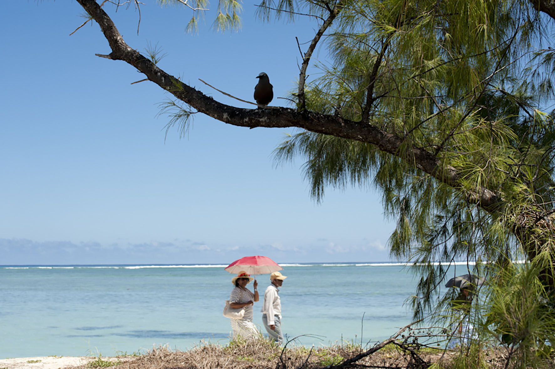 Sur  l'île aux Cocos, le temps d'une parfaite évasion