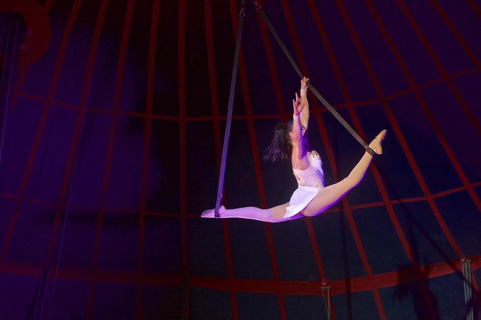 Le Cirque Raluy à La Réunion: images