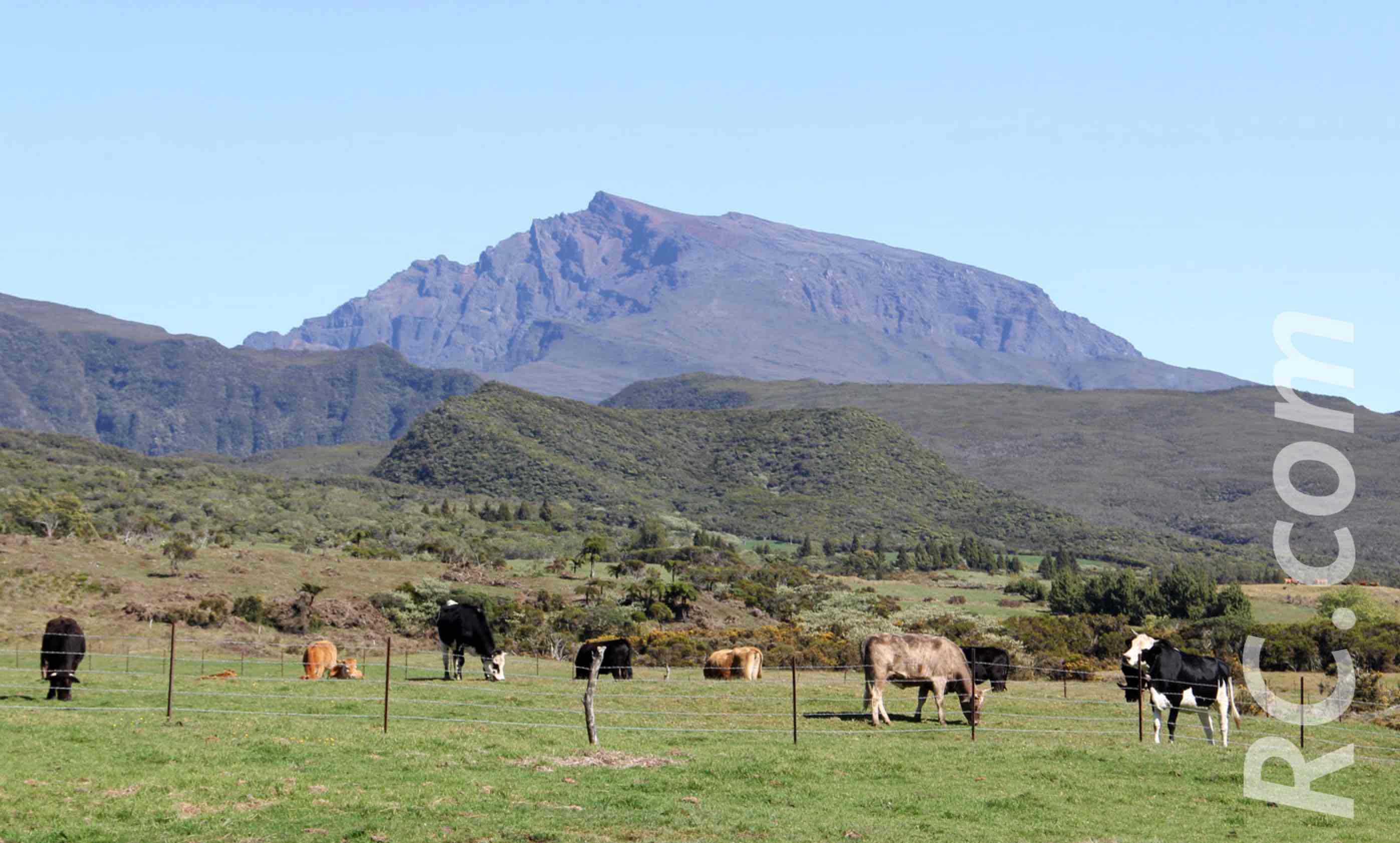 Vue sur le Piton des Neiges à partir de la Plaine des Cafres Vue sur le Piton des Neiges à partir de la Plaine des Cafres