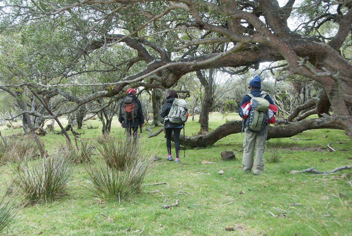 Des marcheurs vers Mafate Des marcheurs vers Mafate