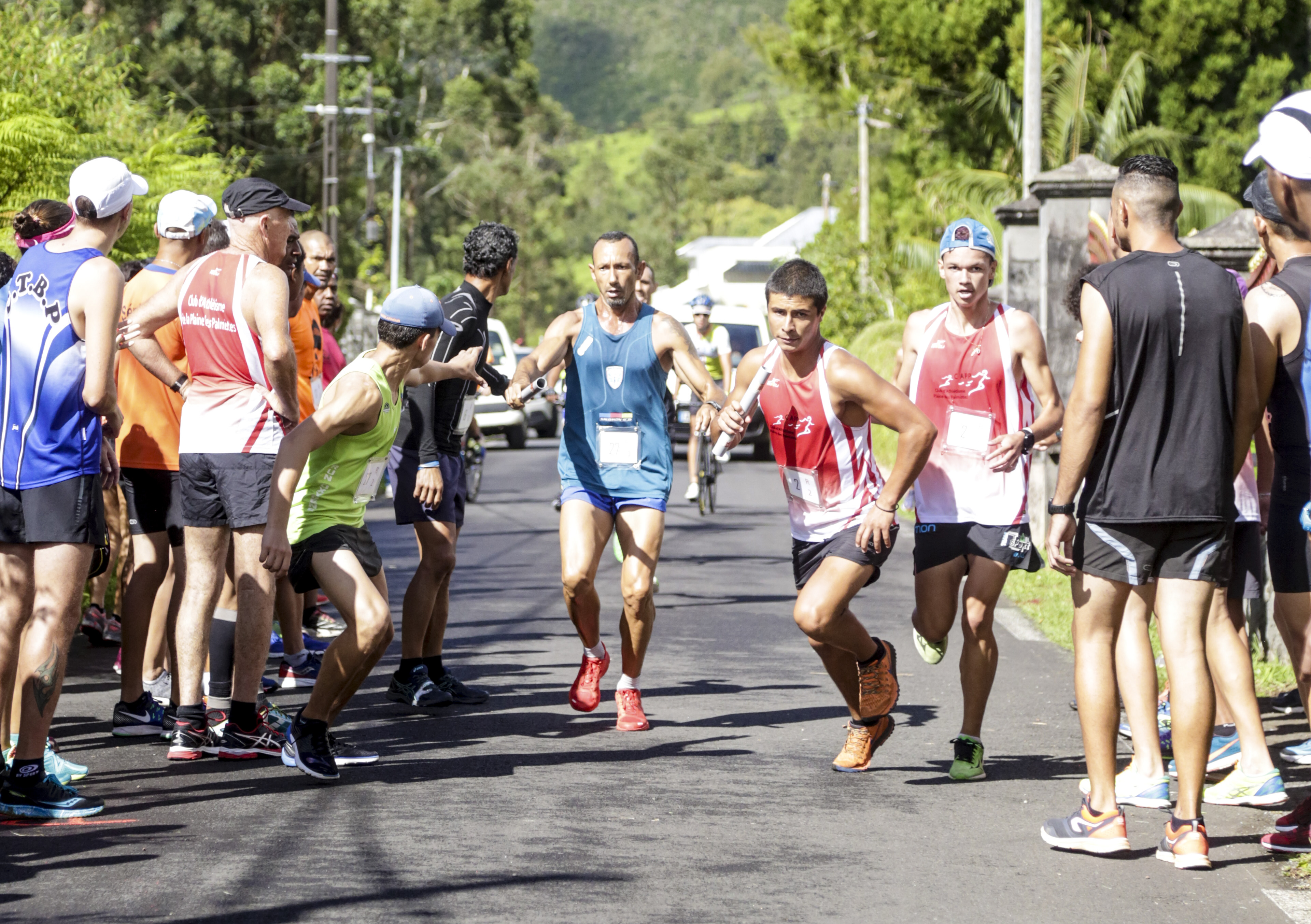 Bagarre annoncée dans les rues palmiplainoises... Bagarre annoncée dans les rues palmiplainoises...