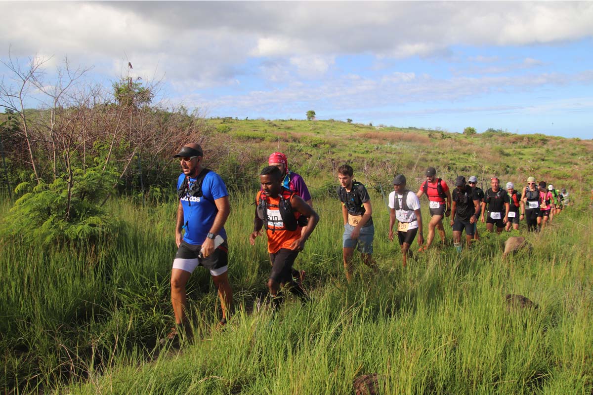 A la queue leu leu dans la savanne saint-pauloise... A la queue leu leu dans la savanne saint-pauloise...