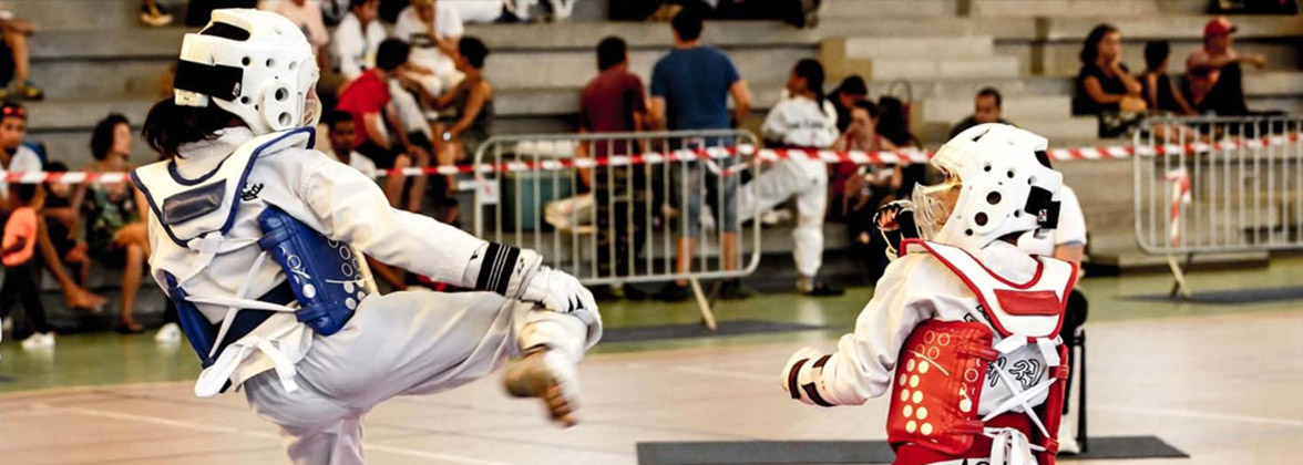 Taekwondo: Coupe de La Réunion 2019, les photos   