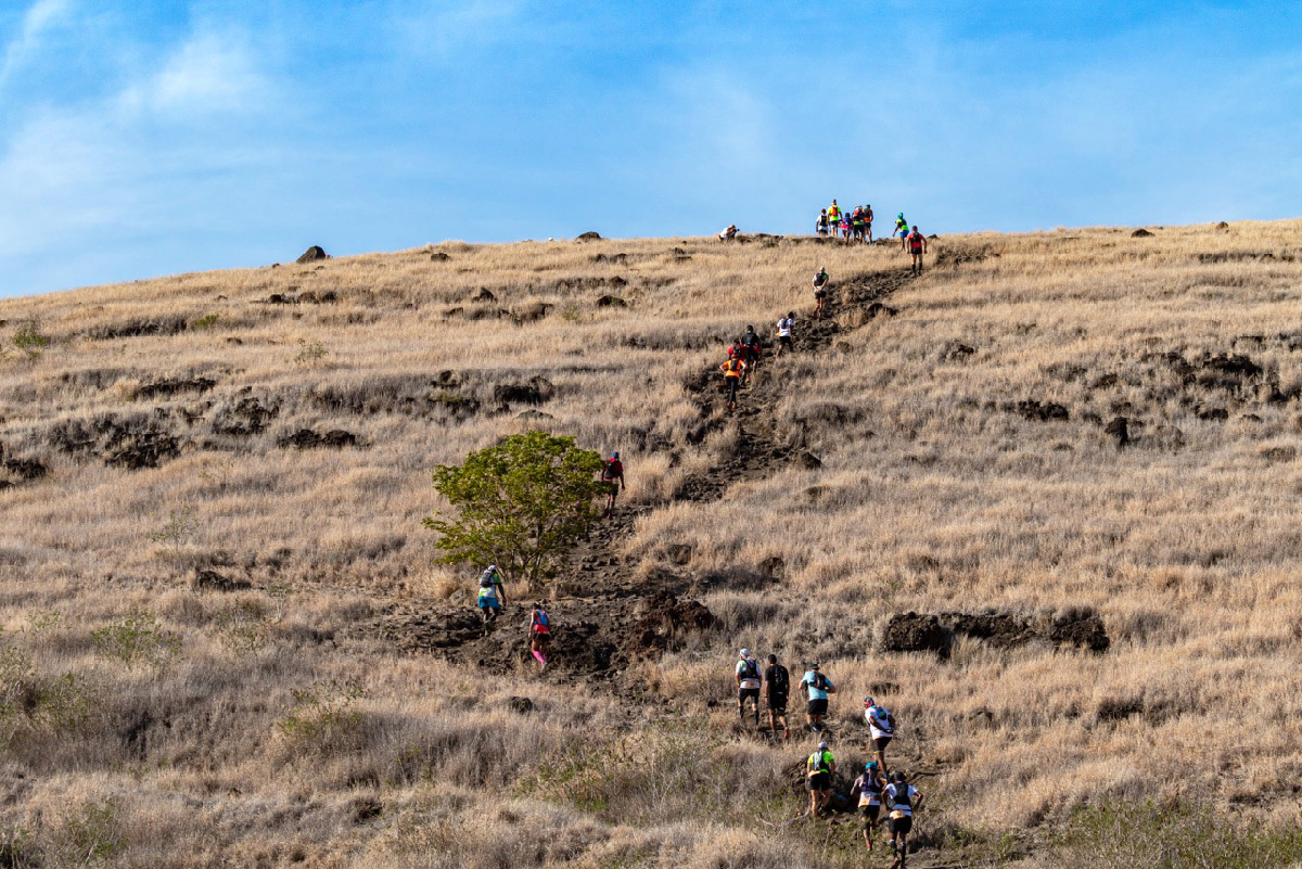 Le passage dans la savane, sans l'ombre d'un arbre salvateur... Le passage dans la savane, sans l'ombre d'un arbre salvateur...