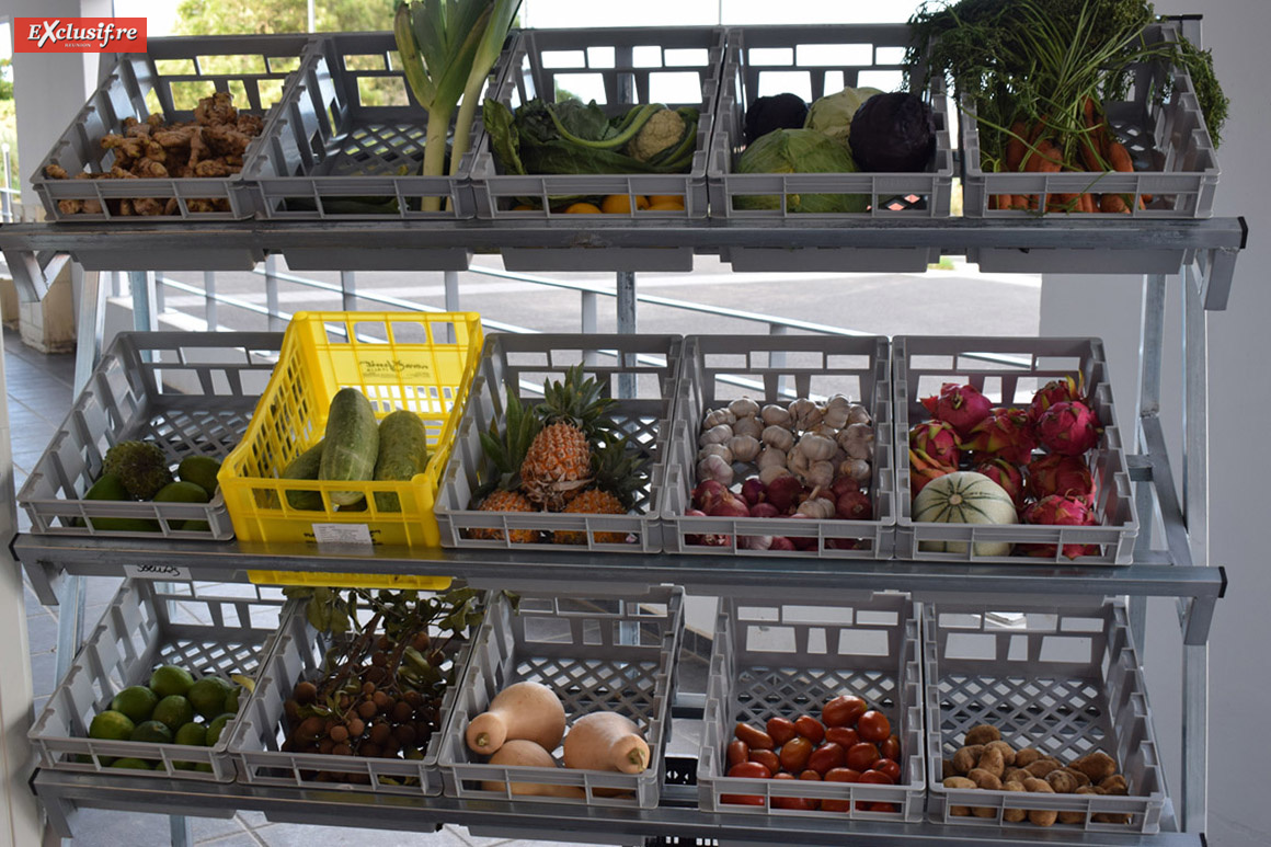 "Régal Express", une épicerie de proximité à la Colline des Camélias Saint-Denis