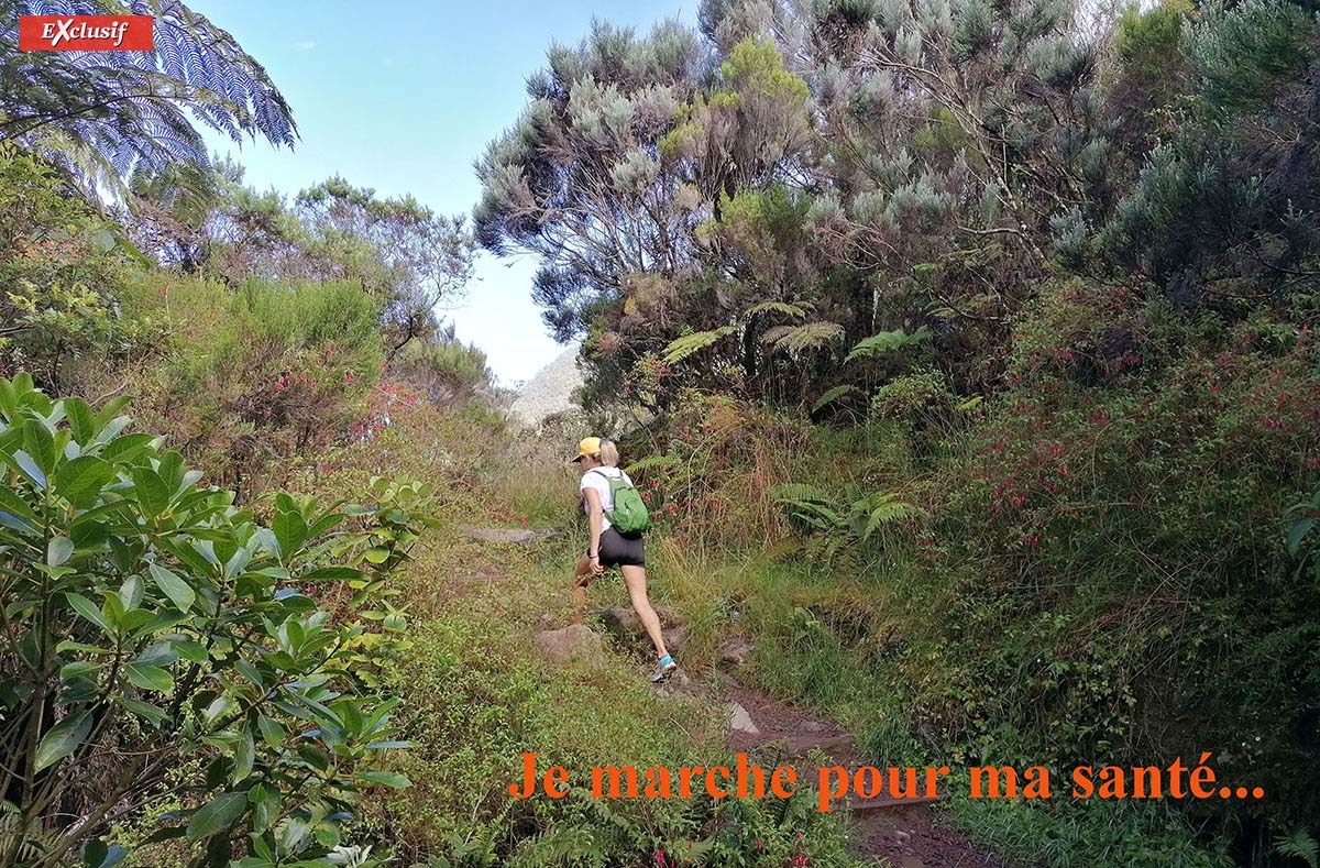 La Réunion, un cadre grandiose pour l'opération «Je marche pour ma santé» de la Mutualité