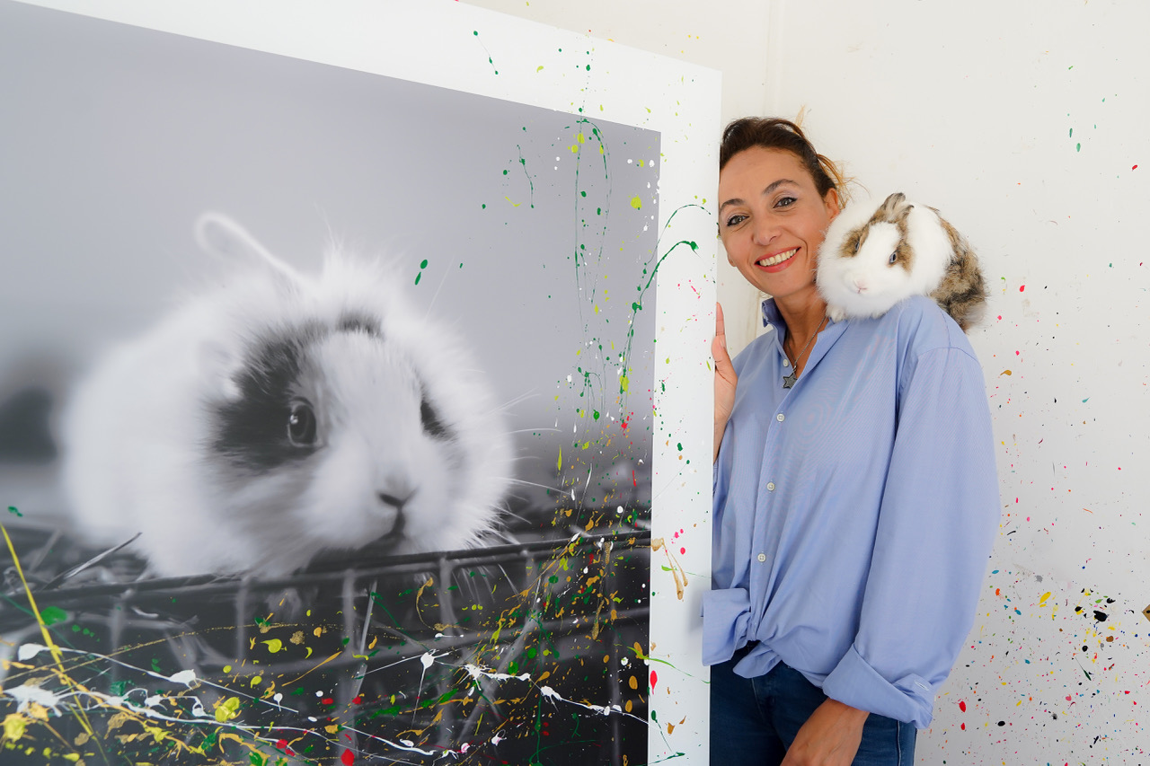 Coco et les animaux, une histoire d'amour