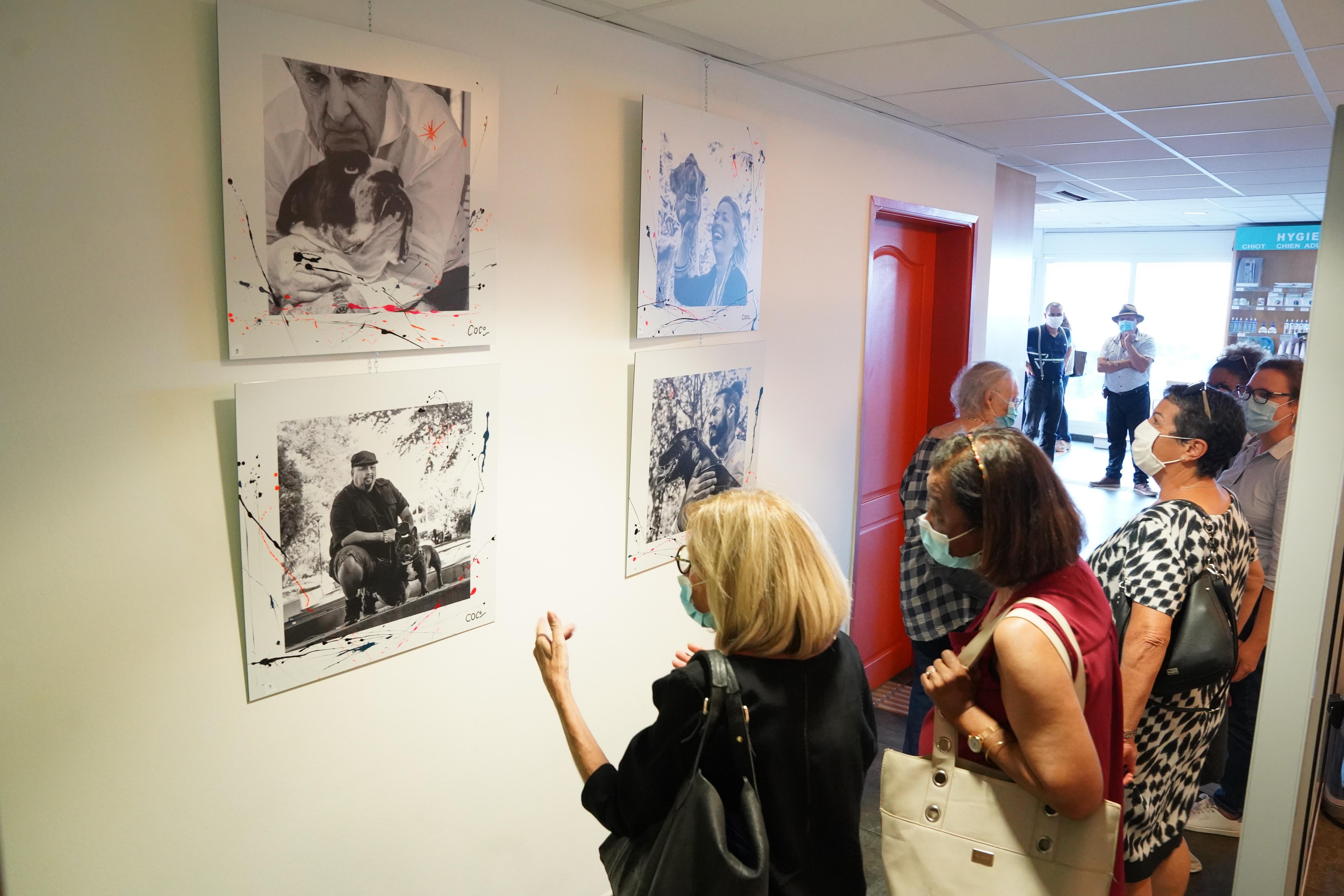 Visite de l'exposition photos chez Animal City