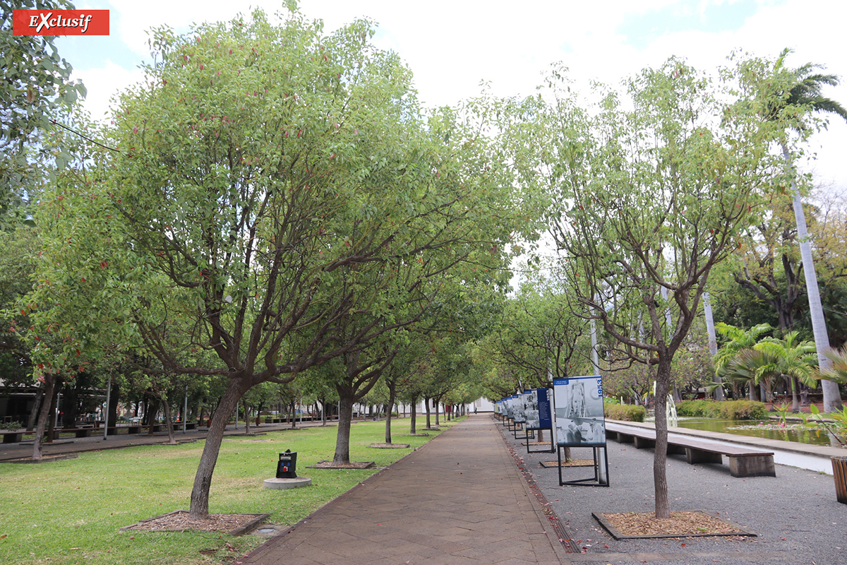 Les panneaux sont installés le long de l'allée centrale du jardin Les panneaux sont installés le long de l'allée centrale du jardin