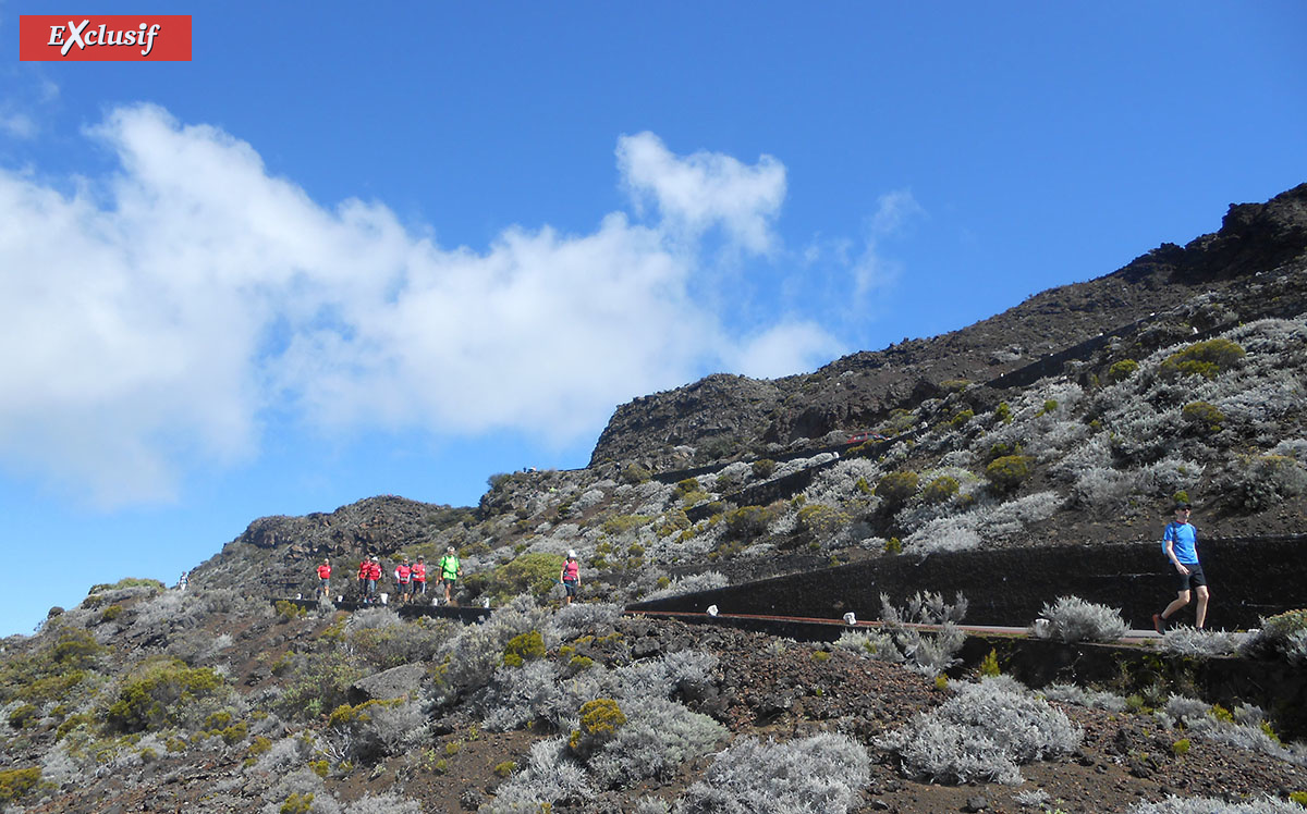 Les Randonnées du Volcan: une évasion complète sur les hauteurs de la Plaine des Cafres Les Randonnées du Volcan: une évasion complète sur les hauteurs de la Plaine des Cafres