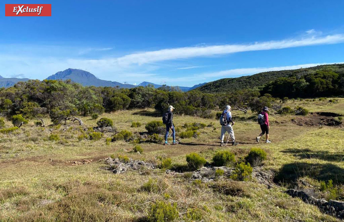 Il a fait un temps magnifique! Il a fait un temps magnifique!