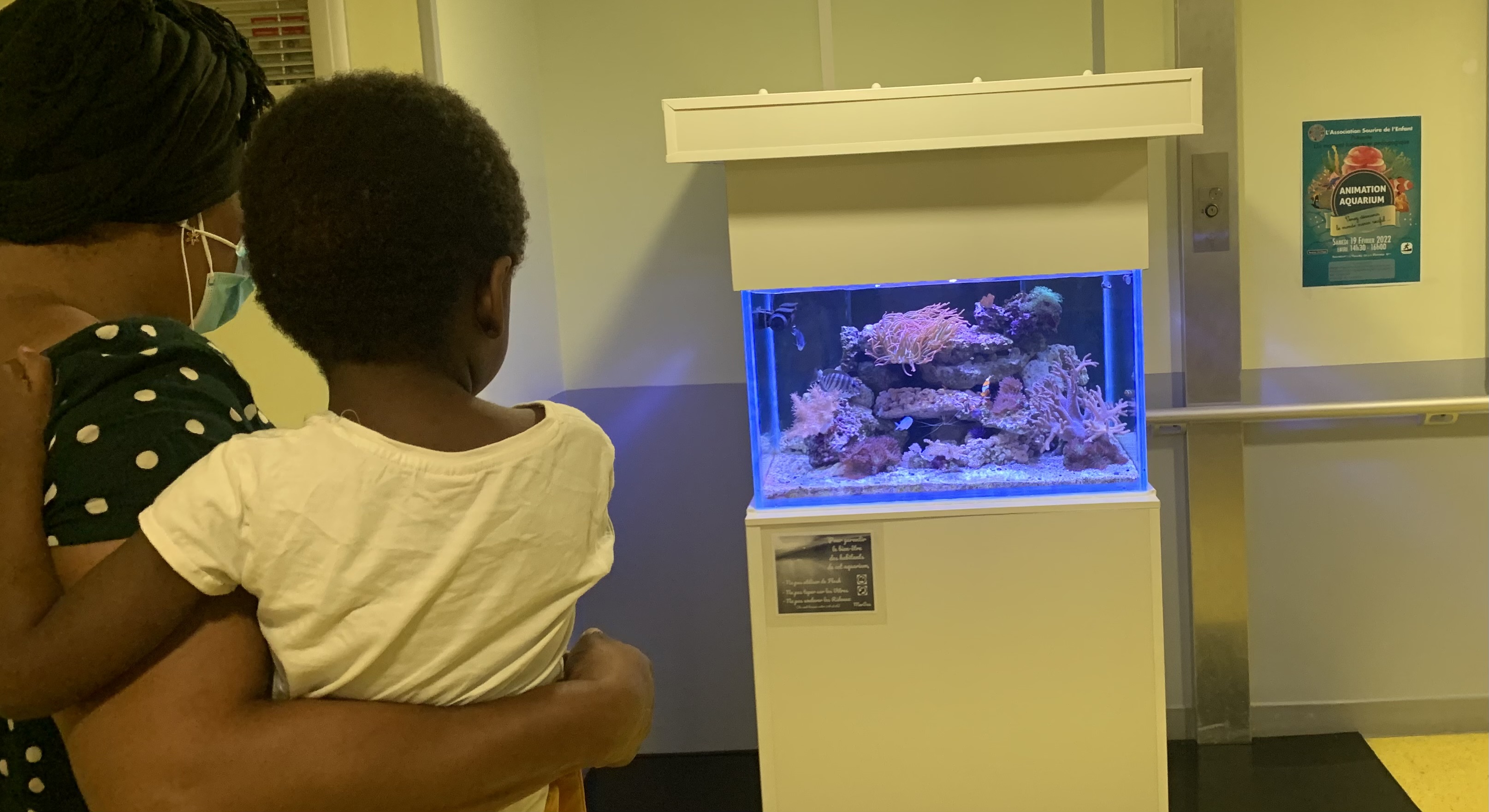 Parent et enfant sont subjugués par l'aquarium...