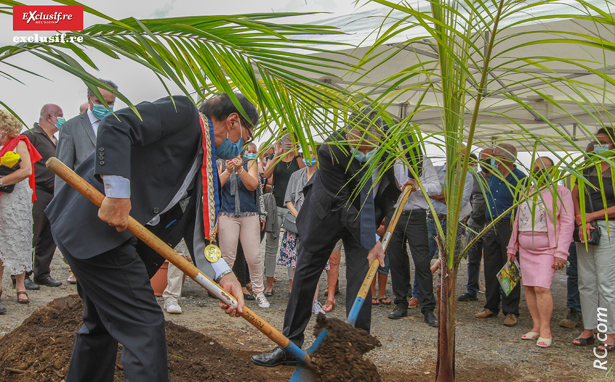Plantation d'un palmier Roussel par le premier magistrat de la ville et le Préfet de La Réunion