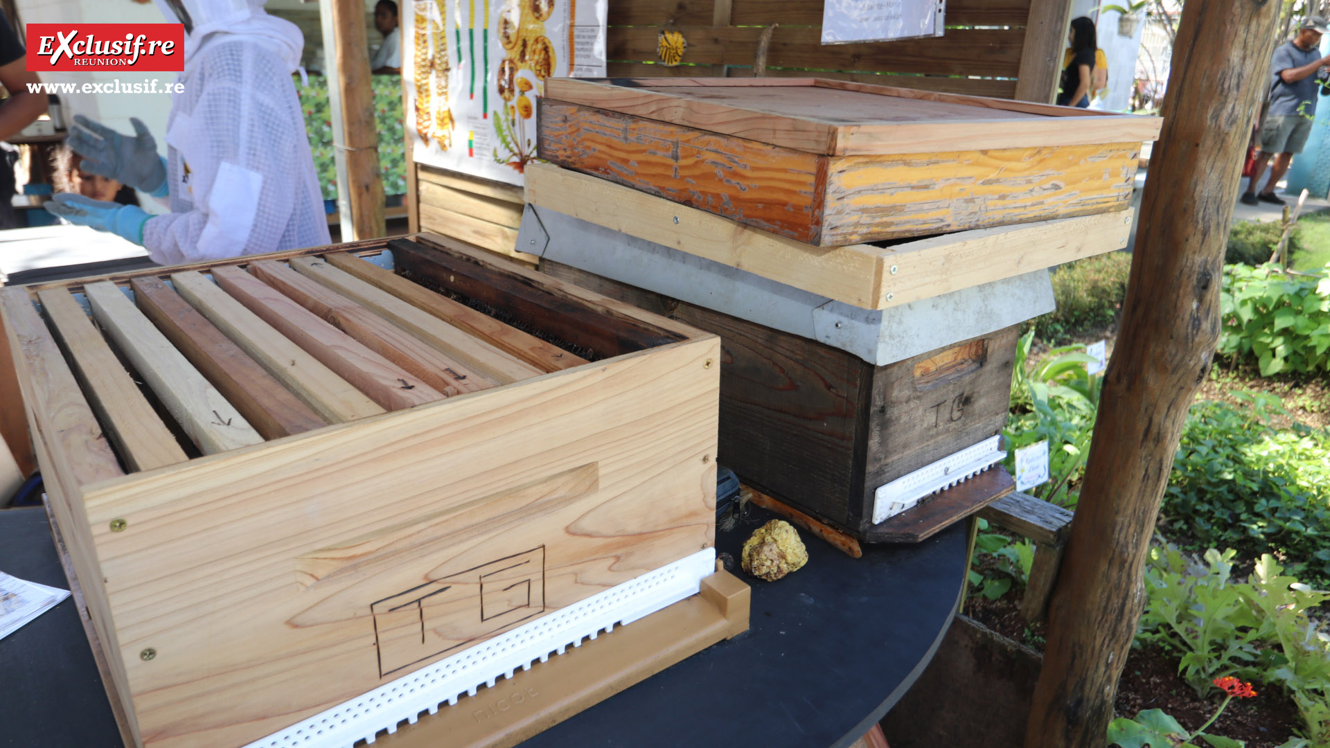 Foire de Bras-Panon 2022: retour en quelques images Foire de Bras-Panon 2022: retour en quelques images