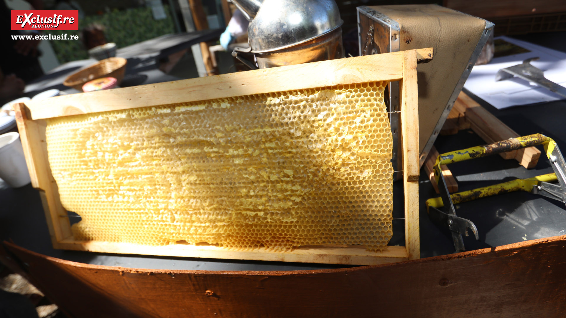 Foire de Bras-Panon 2022: retour en quelques images Foire de Bras-Panon 2022: retour en quelques images