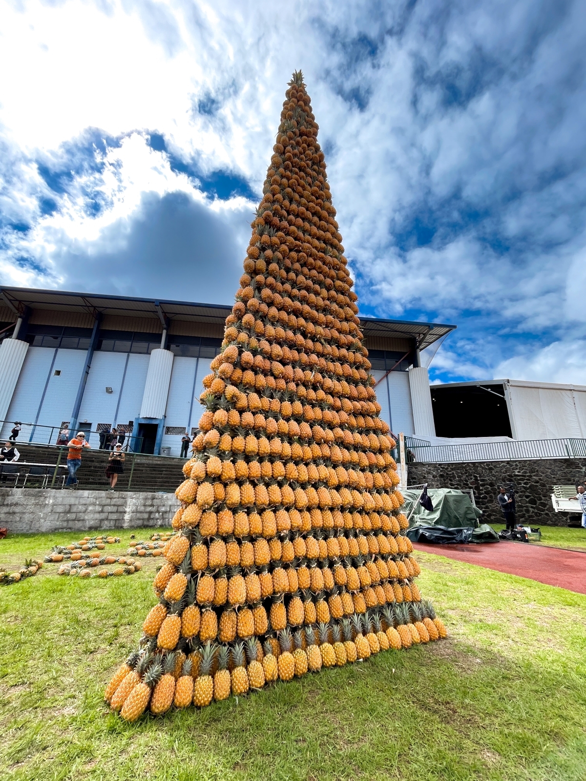 7m50 de hauteur pour ce record du monde de la plus haute pyramide de fruits