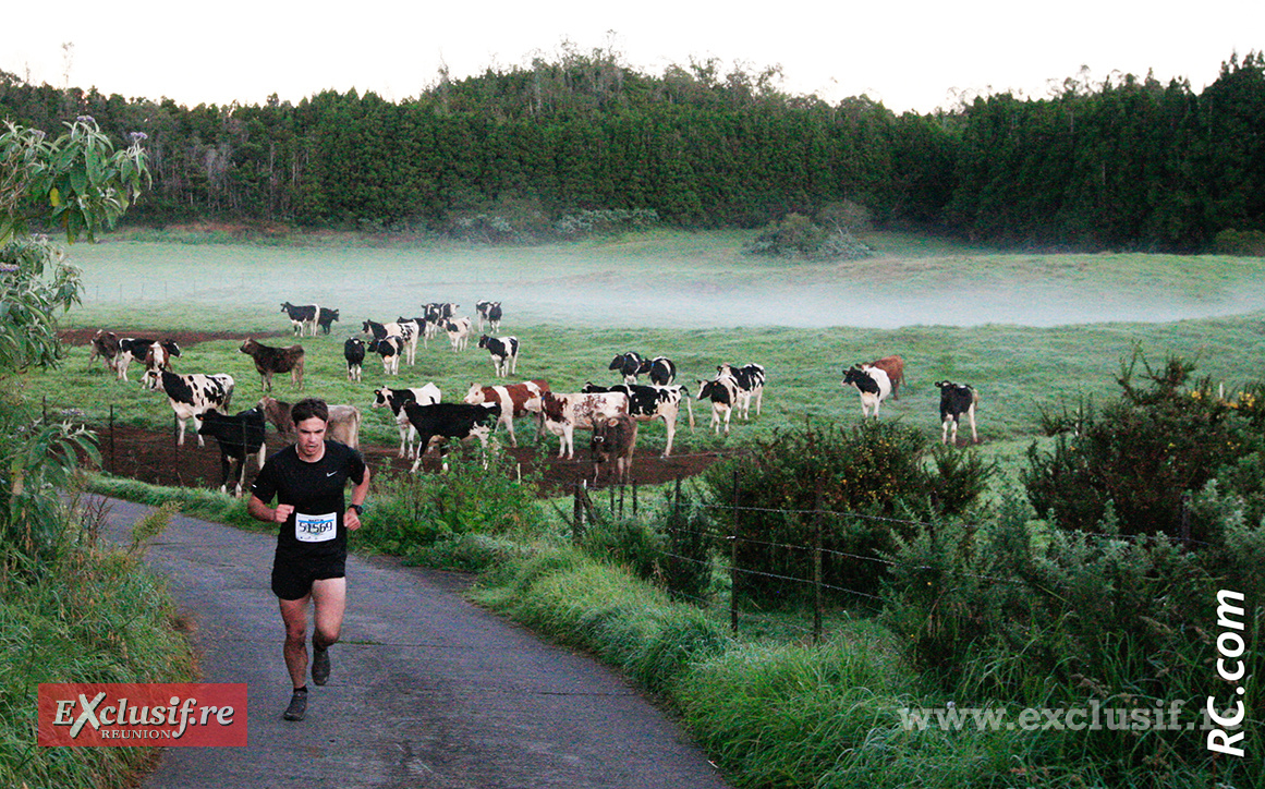 Le Trail des Agriculteurs se déroule dans un magnifique paysage champêtre: verdure, vaches, brouillard, tout y est !