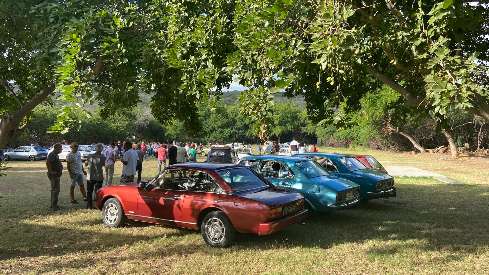 Rassemblement de véhicules de collection et Young Timers à Saint-Gilles