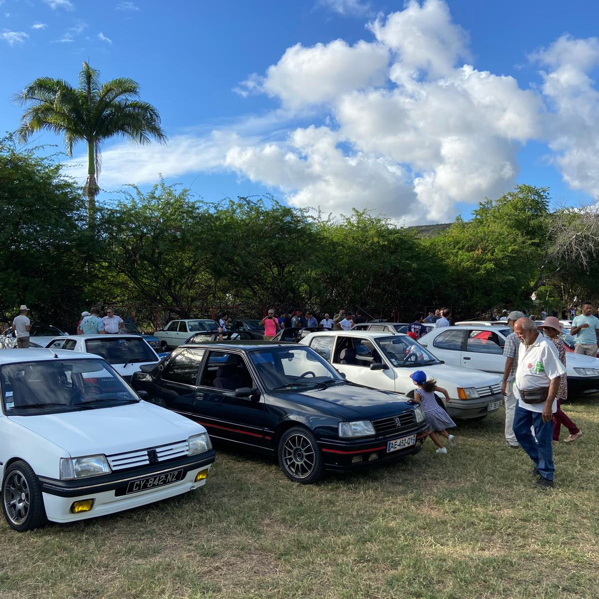 Rassemblement de véhicules de collection et Young Timers à Saint-Gilles