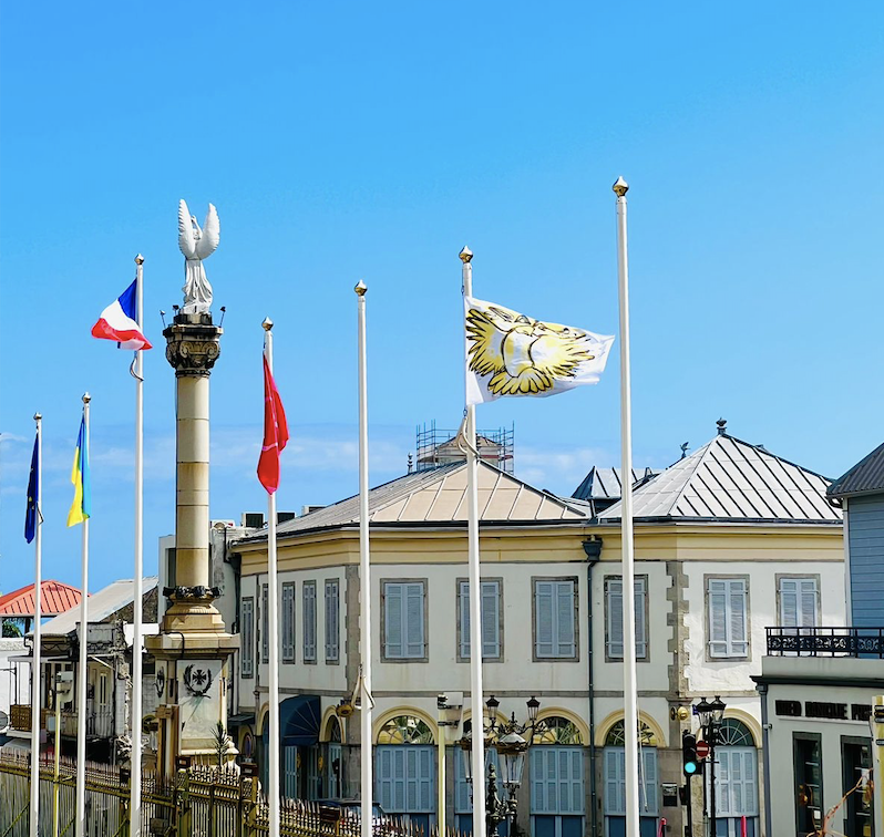 Le drapeau pour la paix flotte devant l'Hôtel de ville de Saint-Denis