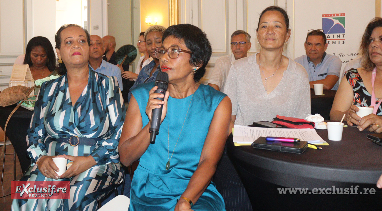 "Saint-Denis est dans le Top 10 des plus grandes villes de France au niveau sécurité" a dit la maire "Saint-Denis est dans le Top 10 des plus grandes villes de France au niveau sécurité" a dit la maire