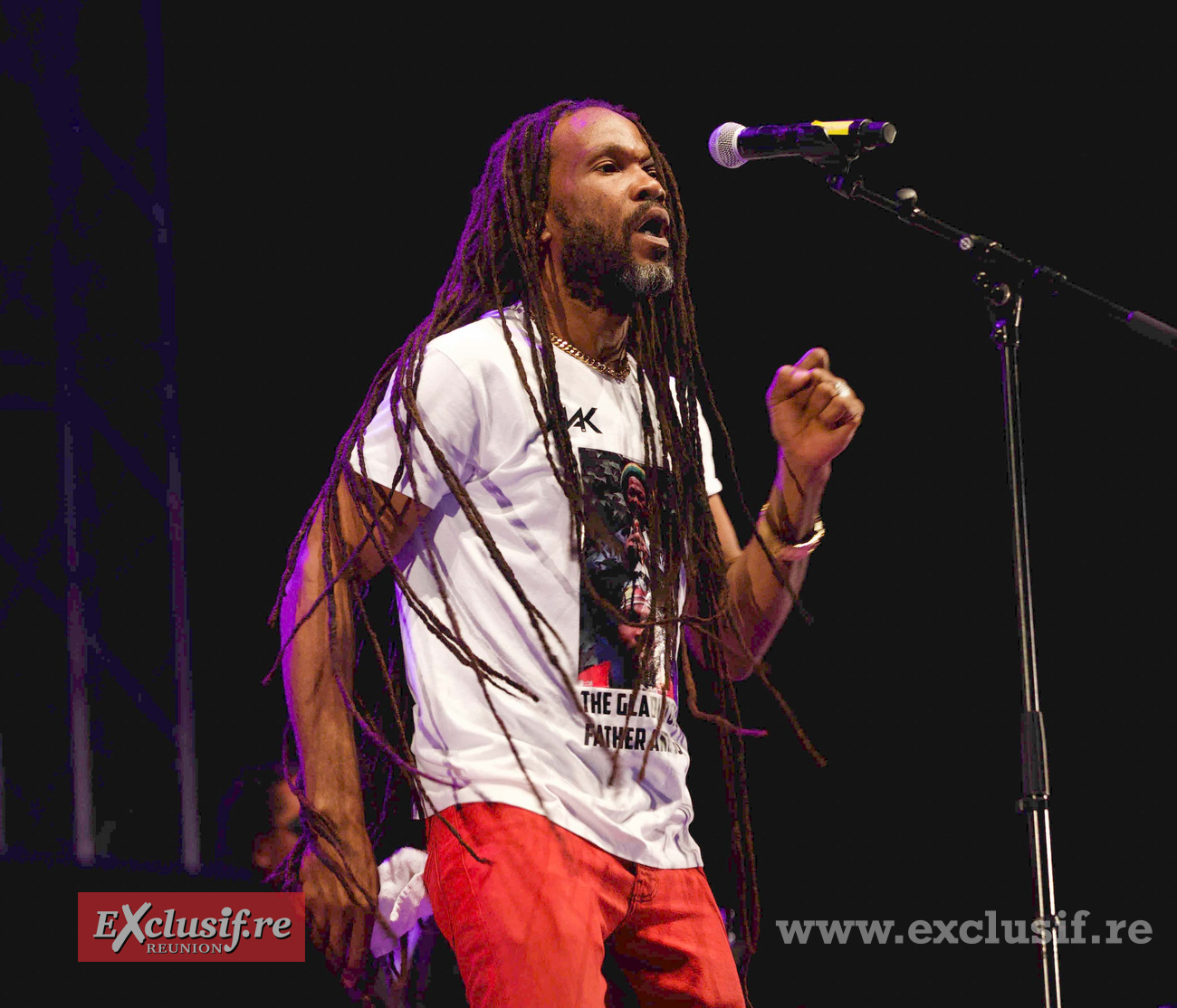 Concert Royal Reggae à la Ravine Saint-Leu: photos