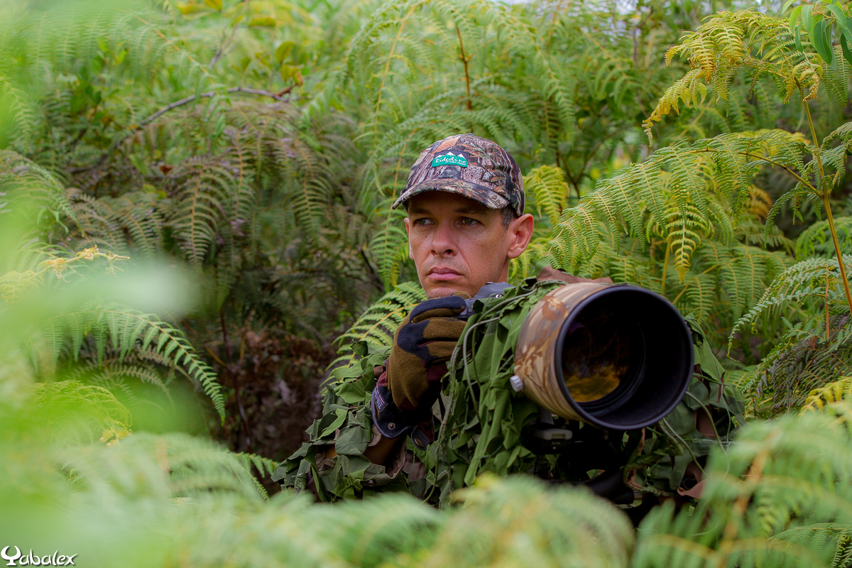 YabAlex, un photographe passionné par la nature. Il peut rester en attente de la bonne photo pendant des heures.... YabAlex, un photographe passionné par la nature. Il peut rester en attente de la bonne photo pendant des heures....