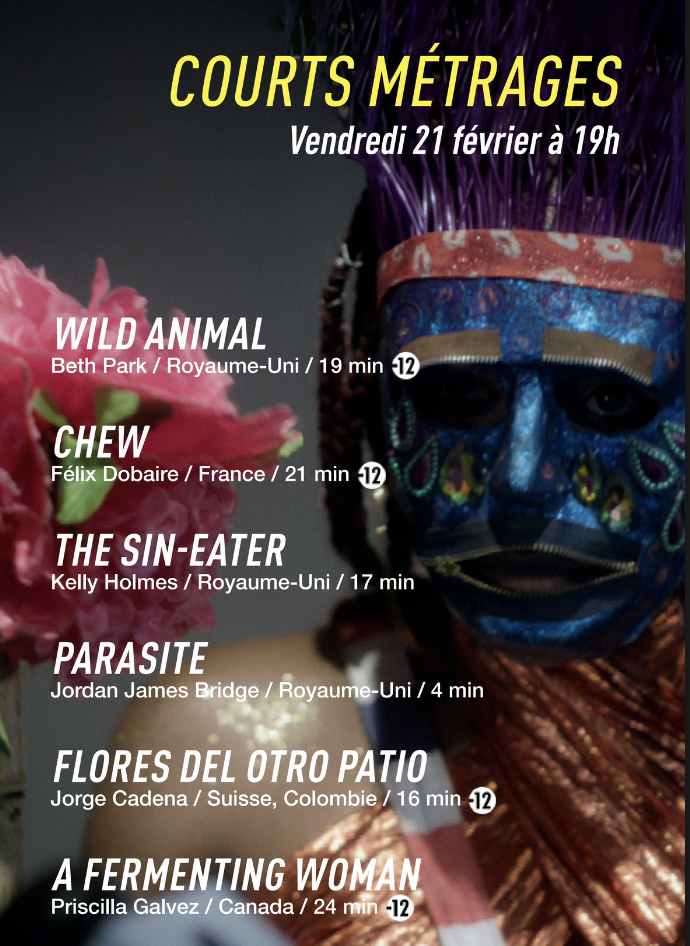 Festival MEME PAS PEUR 2025 à Saint-Philippe: un programme alléchant Festival MEME PAS PEUR 2025 à Saint-Philippe: un programme alléchant