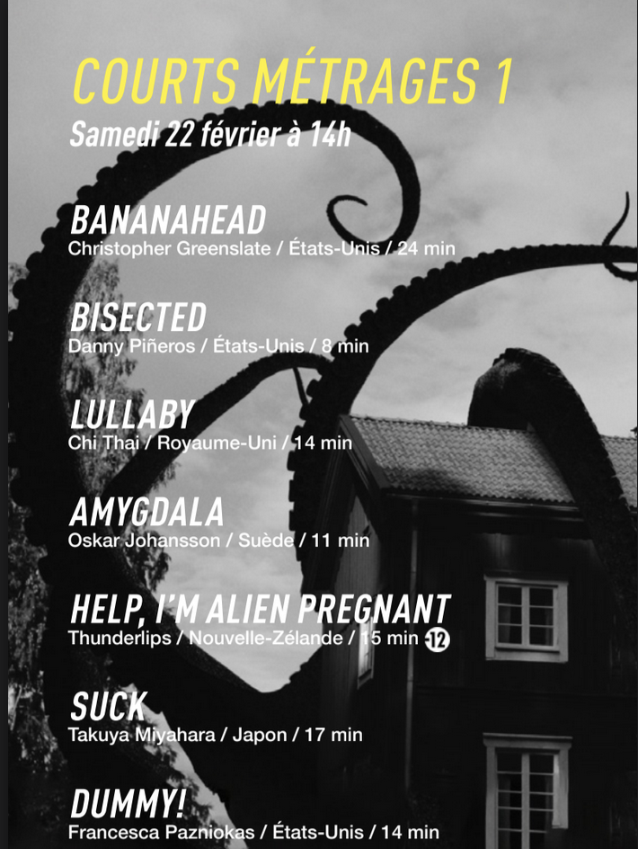 Festival MEME PAS PEUR 2025 à Saint-Philippe: un programme alléchant Festival MEME PAS PEUR 2025 à Saint-Philippe: un programme alléchant