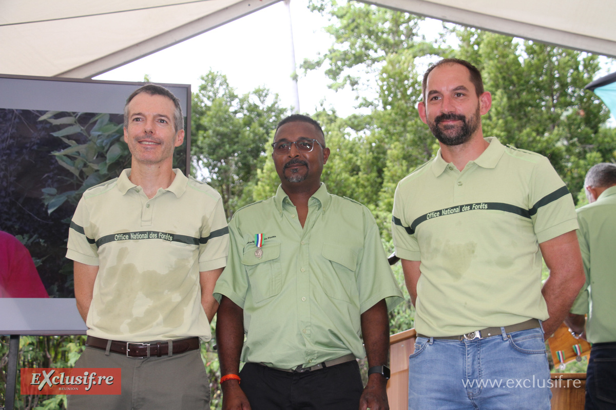 Vœux du directeur régional de l'ONF et remise de médailles à 31 salarié.e.s Vœux du directeur régional de l'ONF et remise de médailles à 31 salarié.e.s