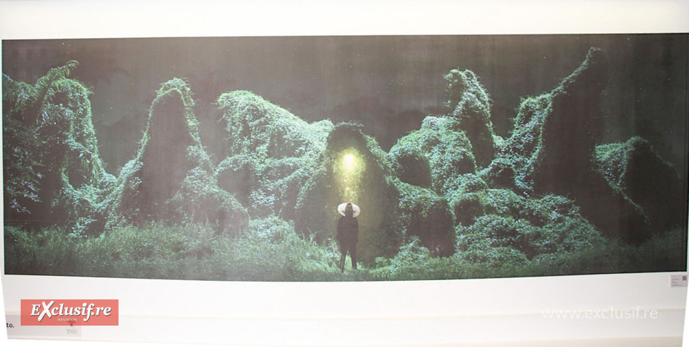 On vous laisse découvrir quelques oeuvres exposées... On vous laisse découvrir quelques oeuvres exposées...