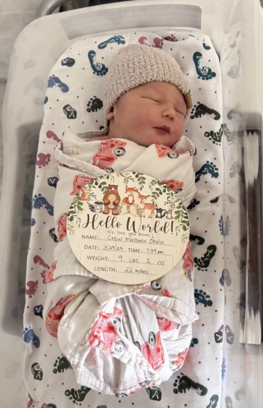 Crew est né, mais il n'a plus de maman... Crew est né, mais il n'a plus de maman...