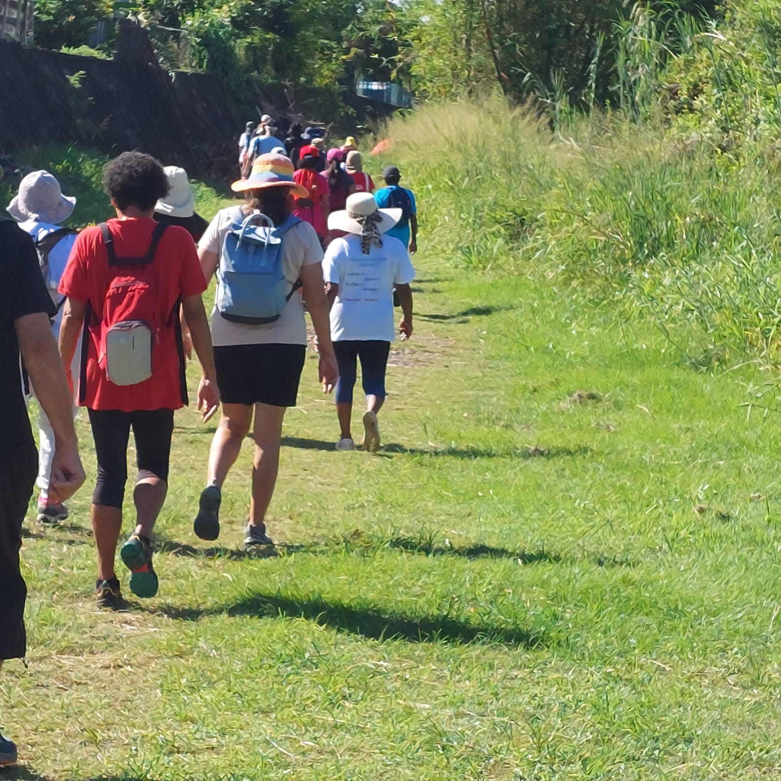 La marche afghane a séduit... La marche afghane a séduit...