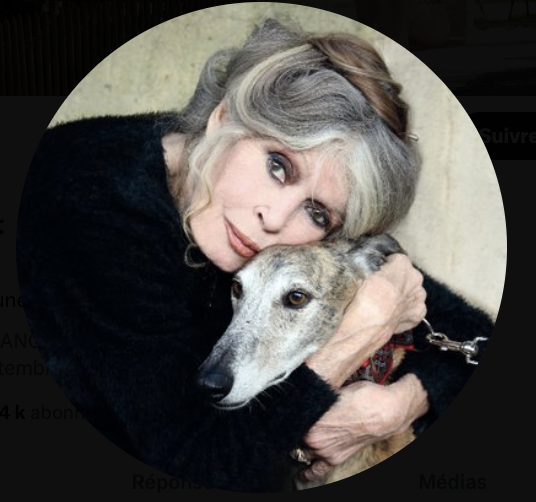 Brigitte Bardot a eu 91 ans fin septembre (photo X @brigitte_bardot)