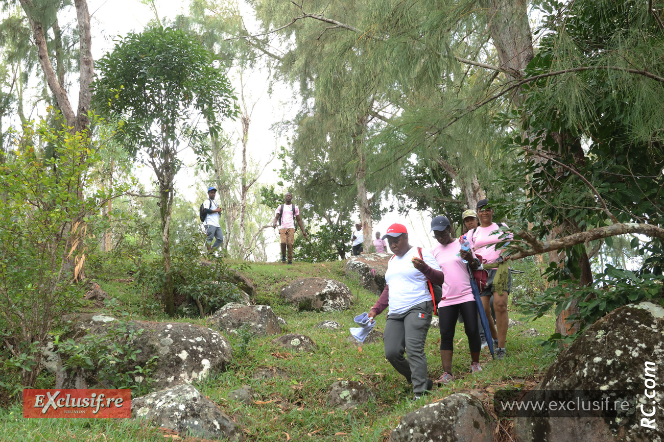Verte prairie et vue sur la mer
