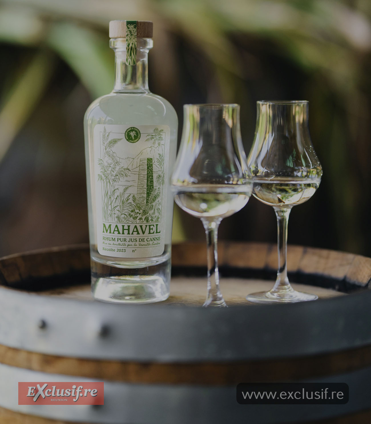 Mahavel: une distillerie familiale pour un rhum artisanal fait main