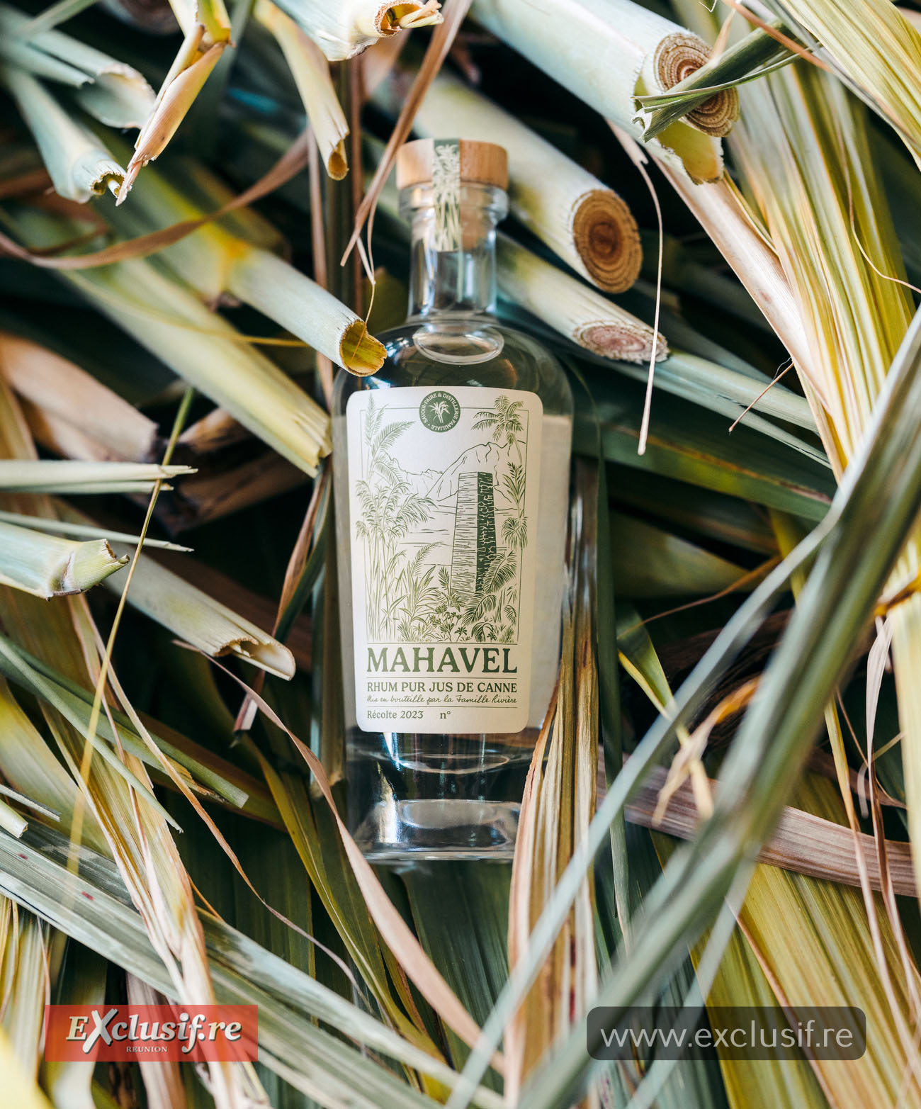 Une bouteille au design atypique  (l'abus d'alcool est dangereux pour la santé, à consommer avec modération)