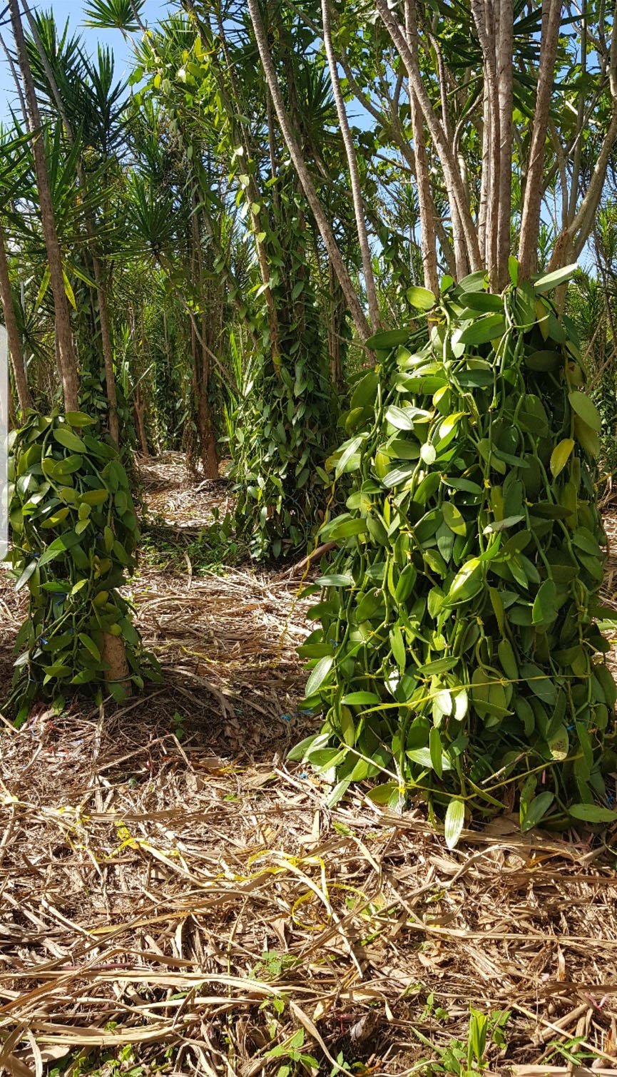 On peut visiter l'exploitation agricole et acheter les produits sur place...