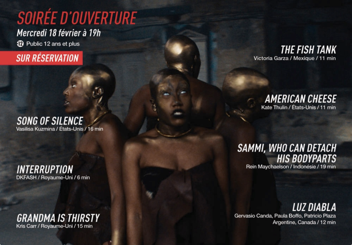 Festival MEME PAS PEUR à Saint-Philippe du 18 au 21 février: découvrez le programmation