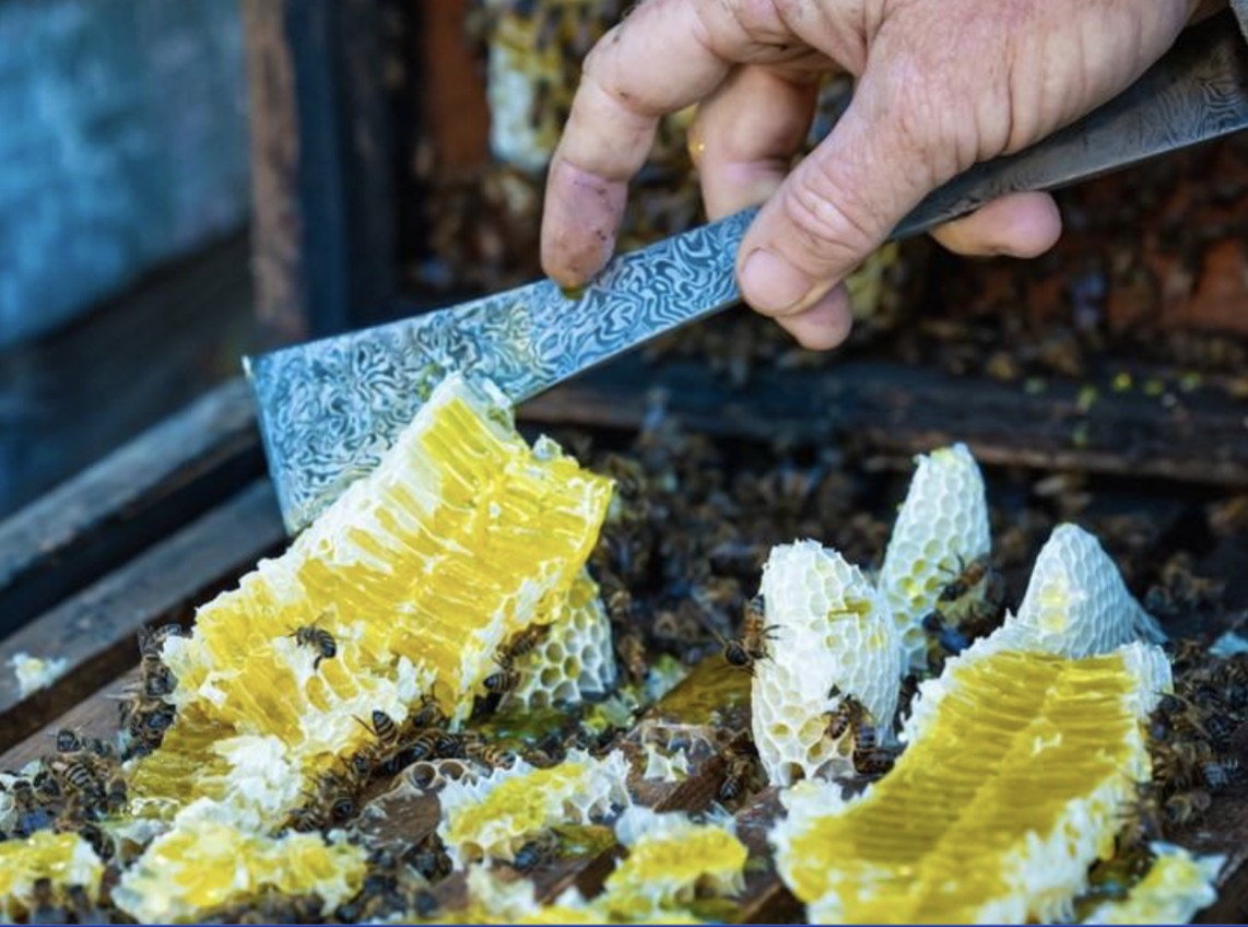 7 médailles pour la filière apicole