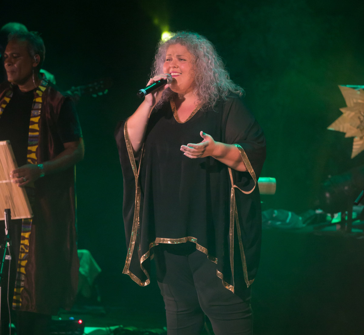 Concert Bèf Séga et ses invités à la Plaine des Palmistes: photos