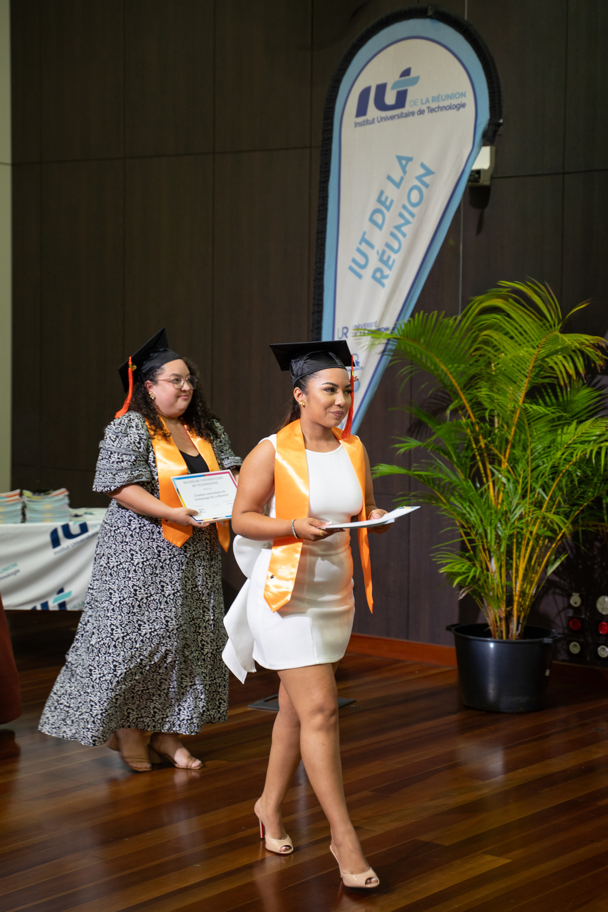 L’IUT Réunion célèbre ses 259 diplômés en Bachelor Universitaire de Technologie