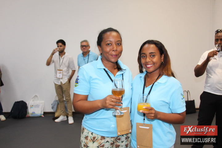 Tourisme: l'île Rodrigues présente au salon Veezit 