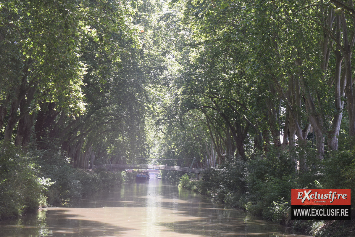 Toulouse: croisière sur la Garonne et le Canal de Brienne