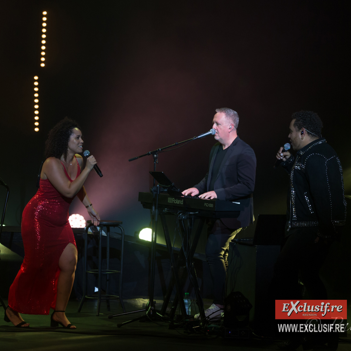 Concert-hommage à Daniel Balavoine et Michel Berger à Saint-Denis: photos