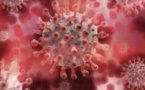 Langya-Henipavirus, un nouveau virus découvert en Chine !