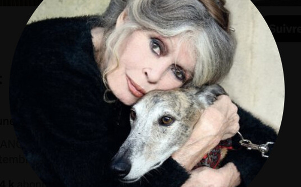 Brigitte Bardot a eu 91 ans fin septembre (photo X @brigitte_bardot)