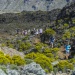 IMG_4151 IMG_4151